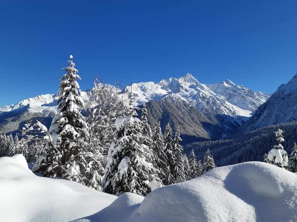 Superbe Aux 7 Laux La Ferriere (Isere)